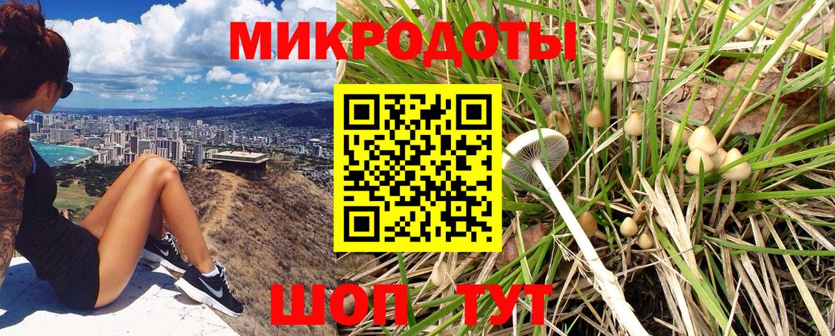 Псилоцибиновые грибы мицелий Пенза